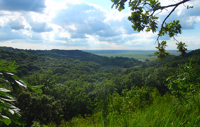 Escape to Iowa's Hidden Gem: Waubonsie State Park